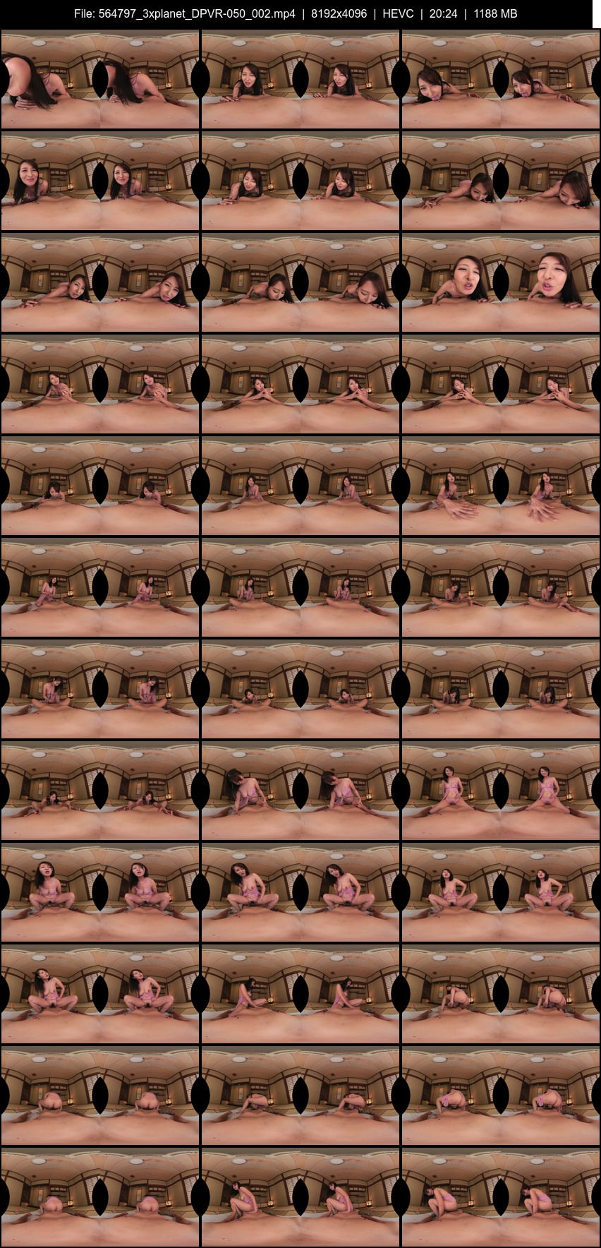 DPVR-050 screens previewer