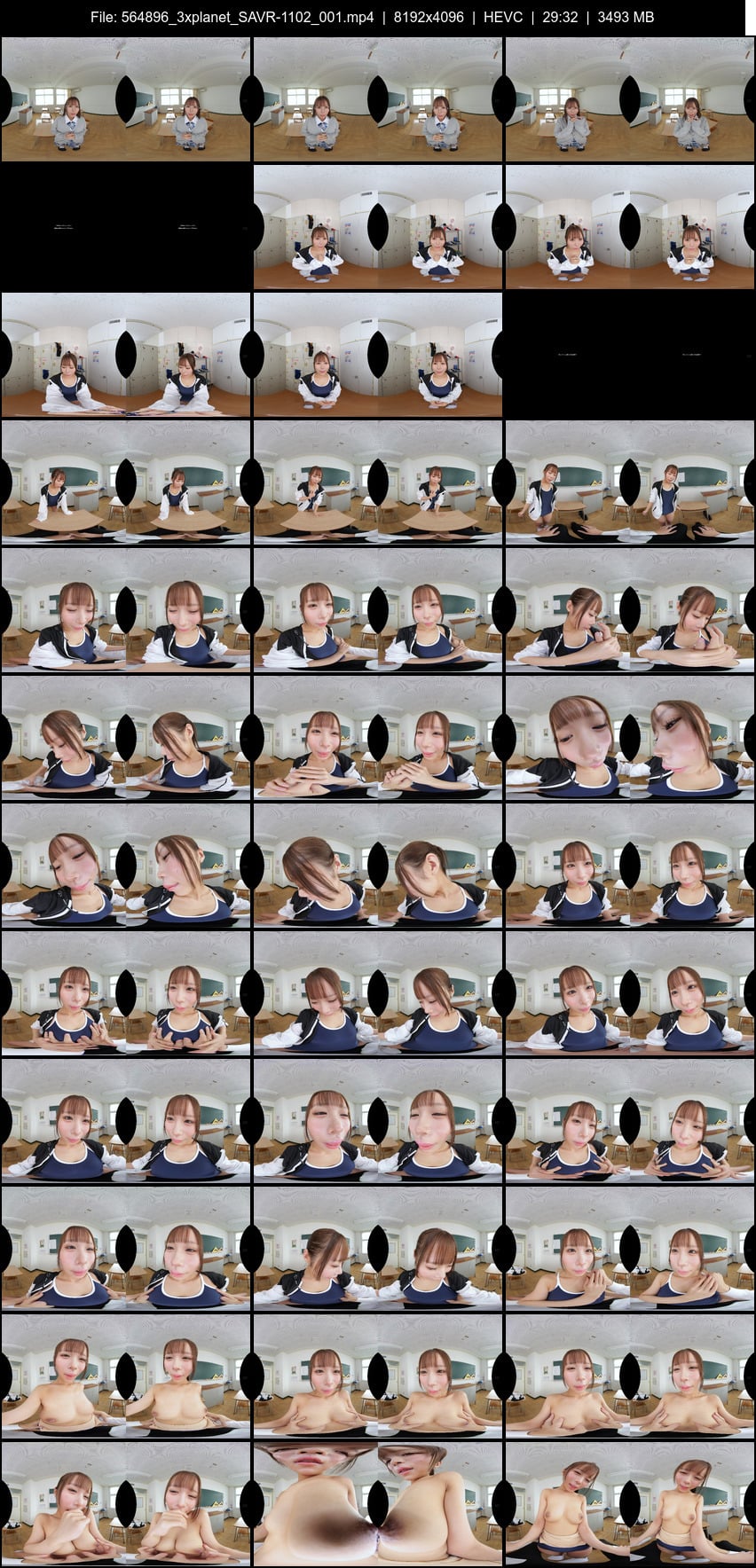 SAVR-1102 screens previewer