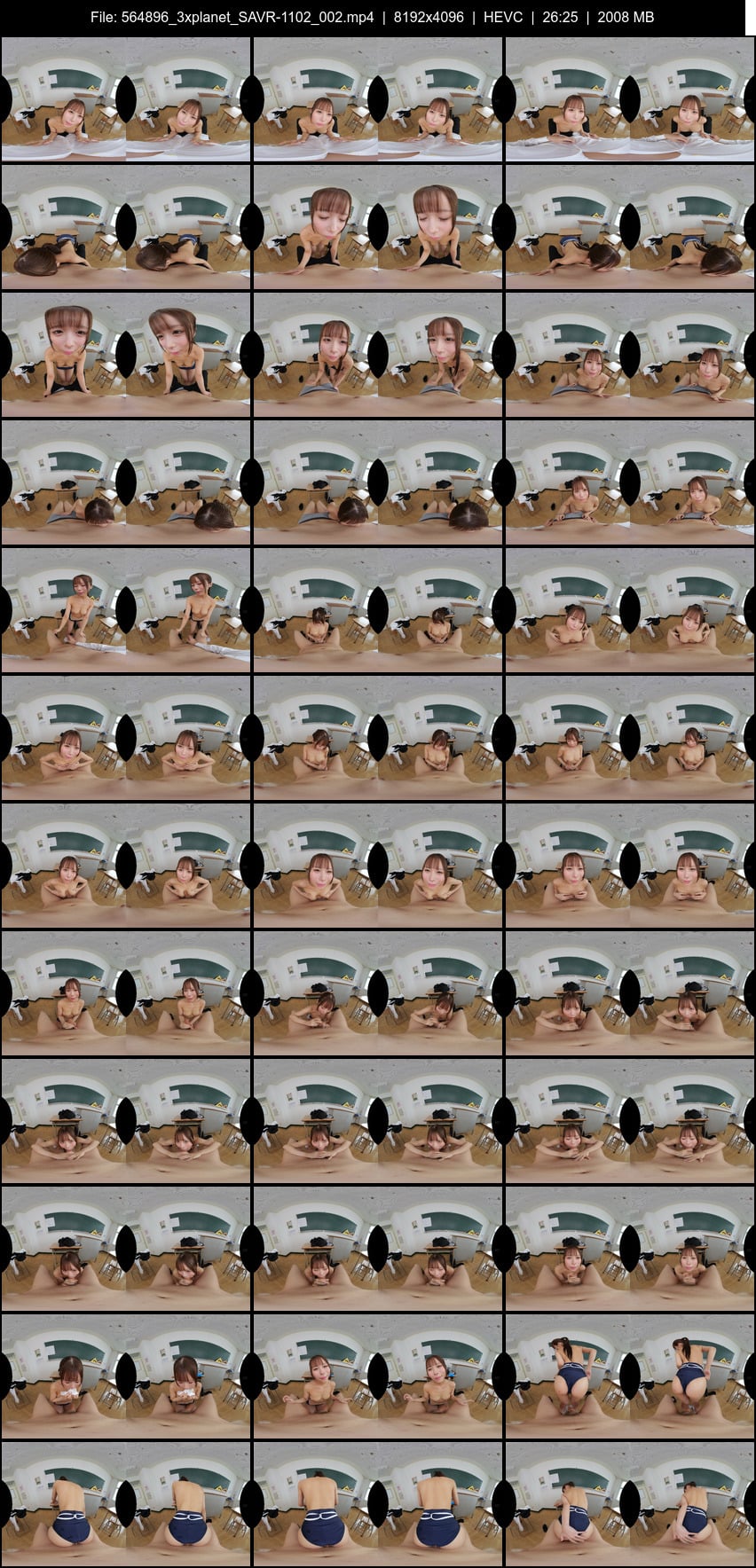 SAVR-1102 screens previewer