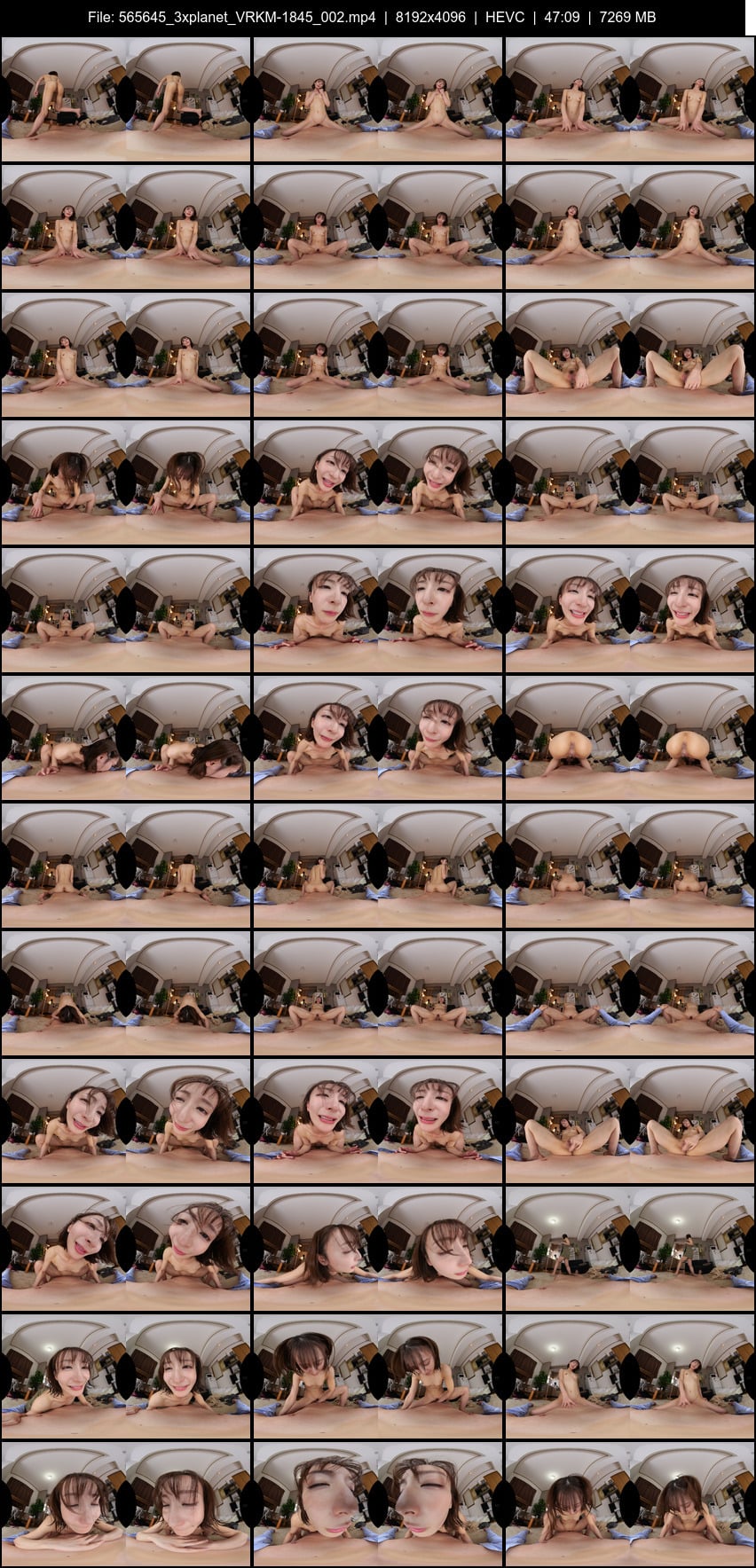 VRKM-1845 screens previewer