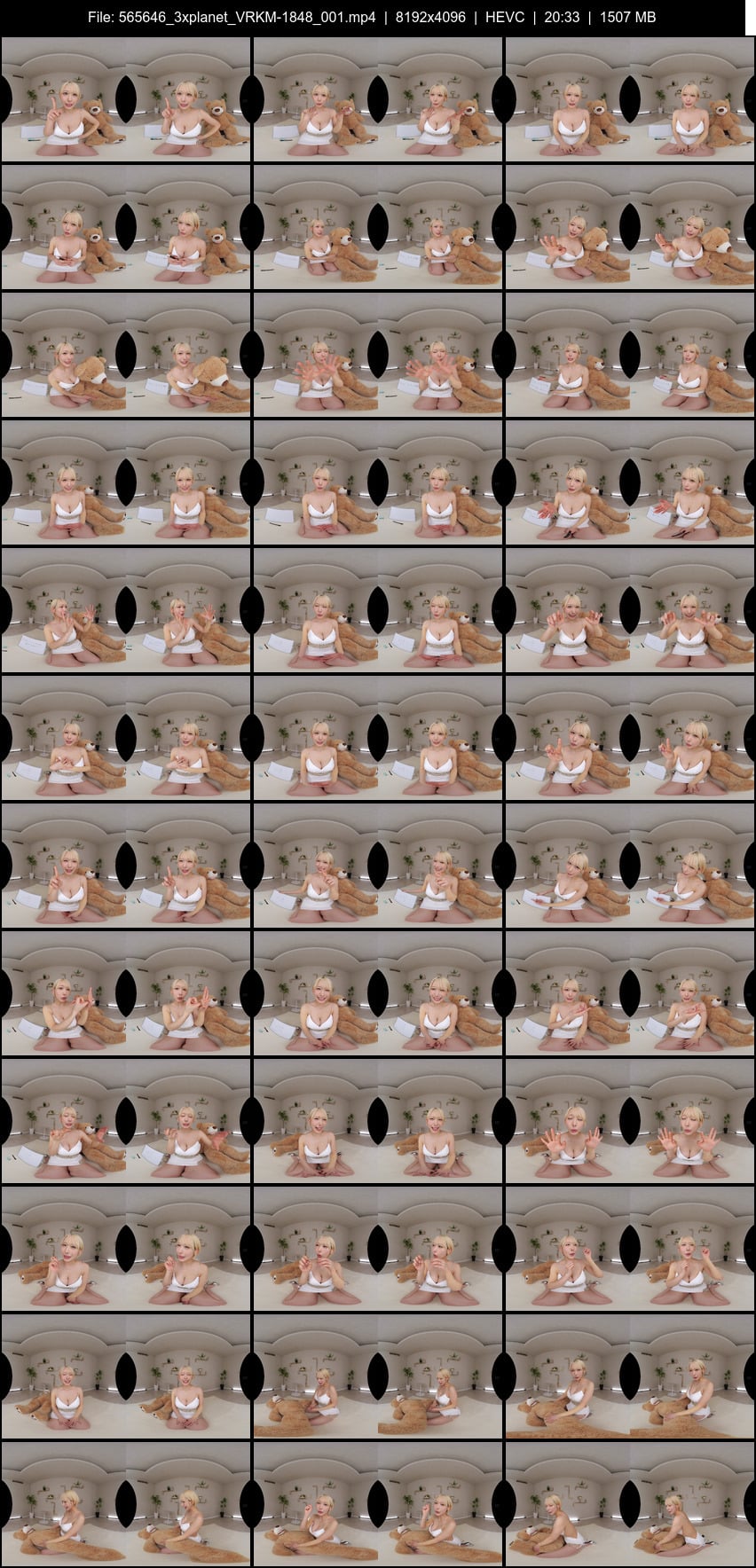 VRKM-1848 screens previewer