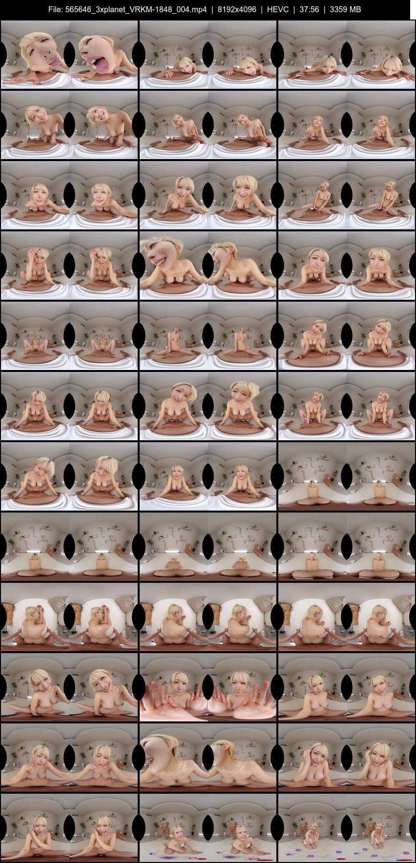 VRKM-1848 screens previewer