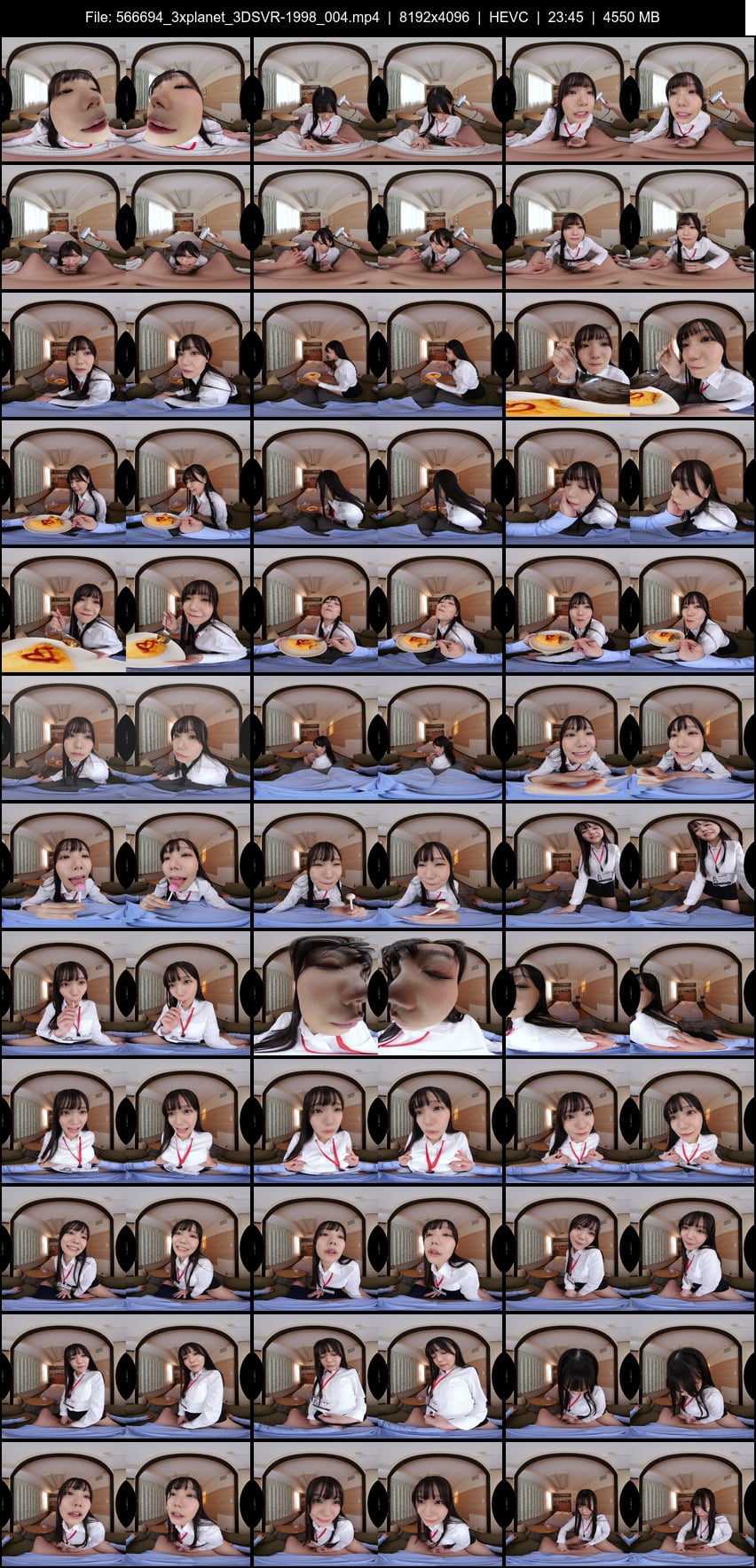 3DSVR-1998 screens previewer