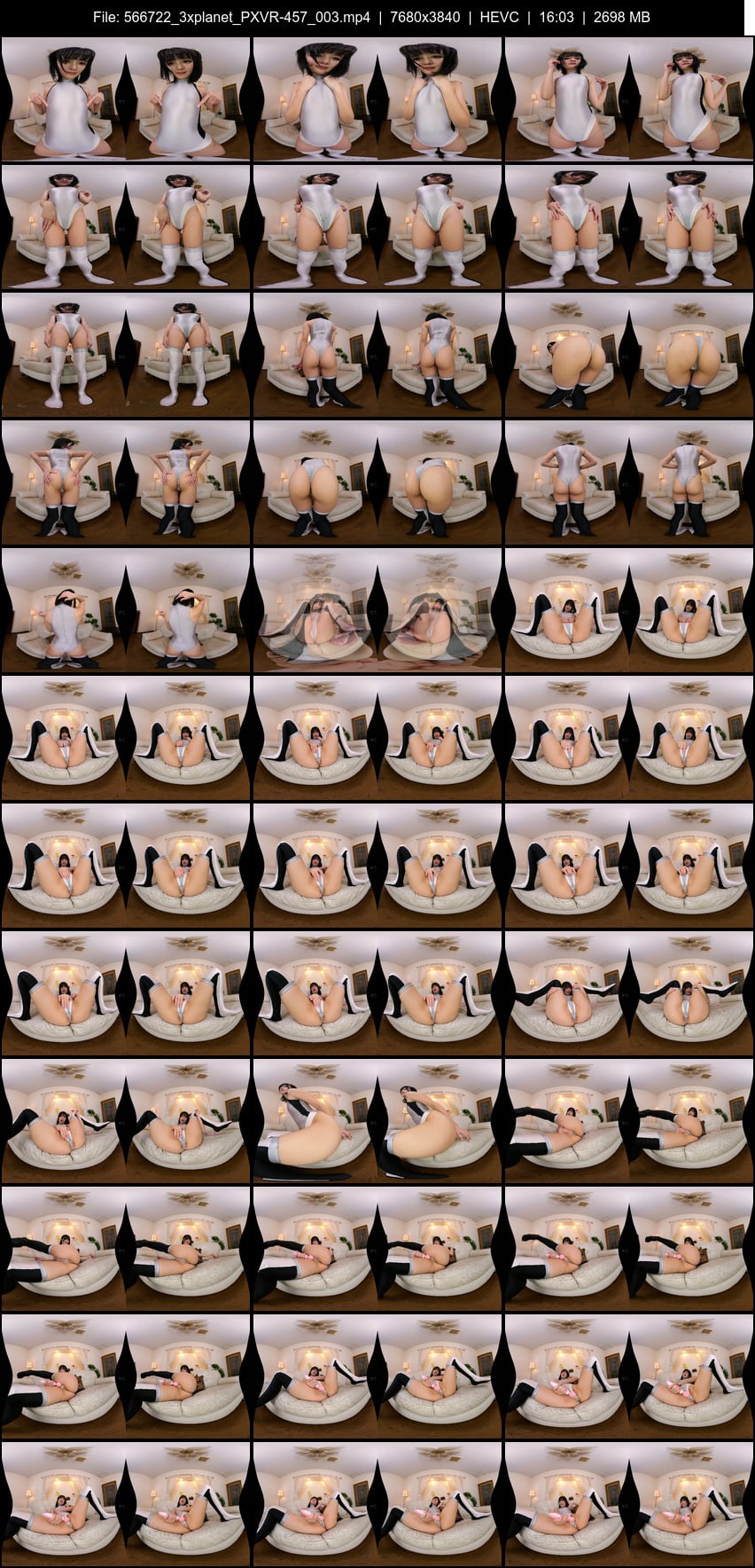 PXVR-457 screens previewer