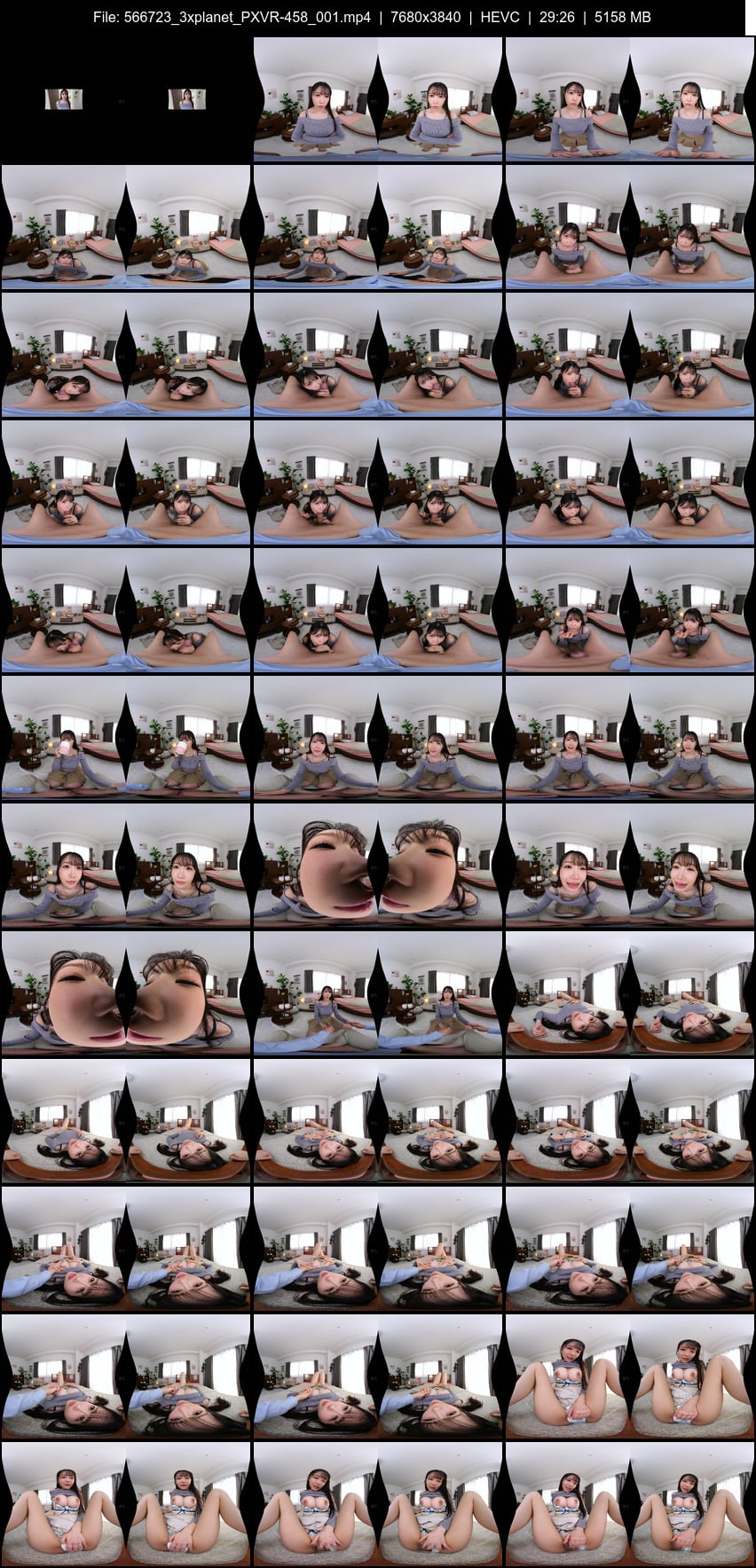 PXVR-458 screens previewer