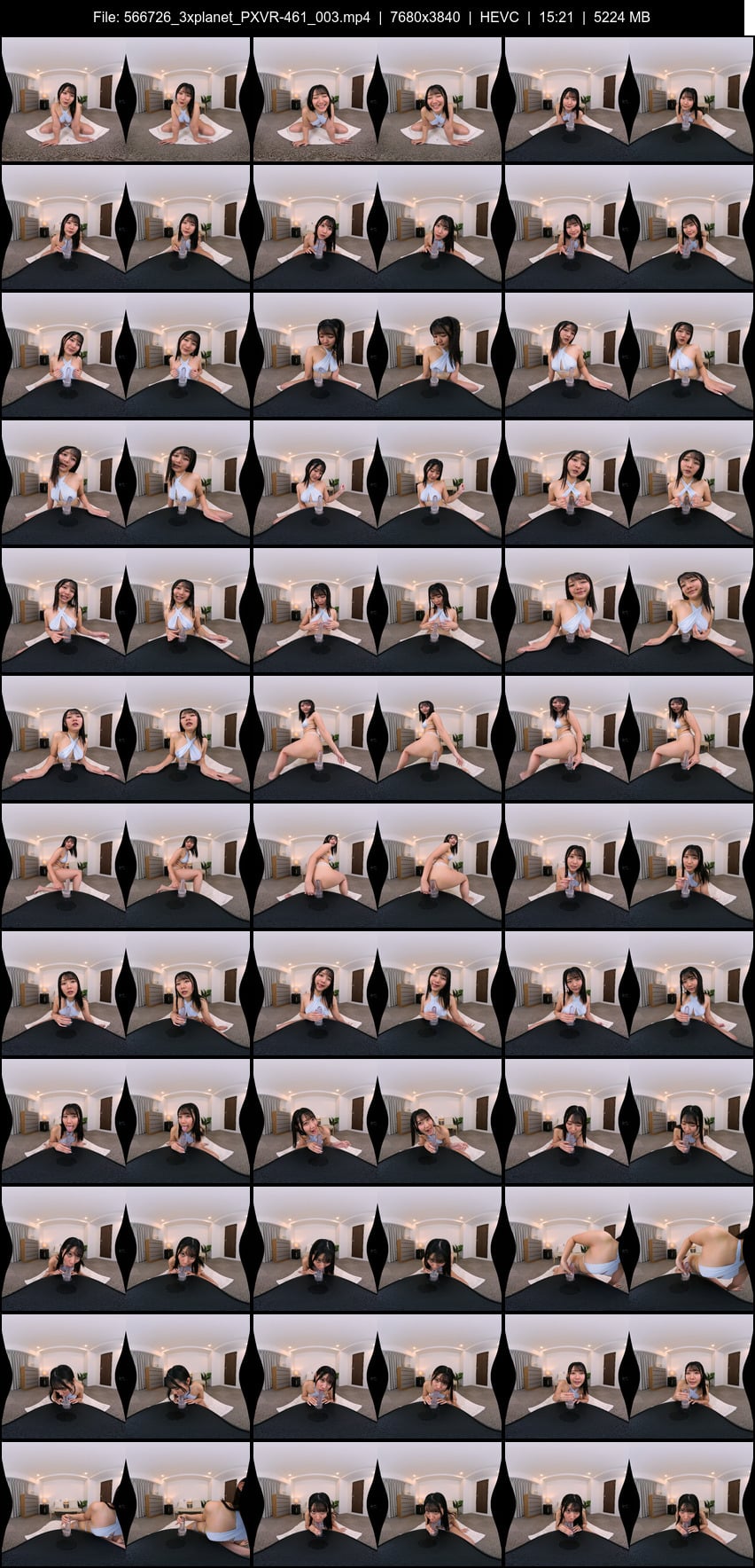 PXVR-461 screens previewer