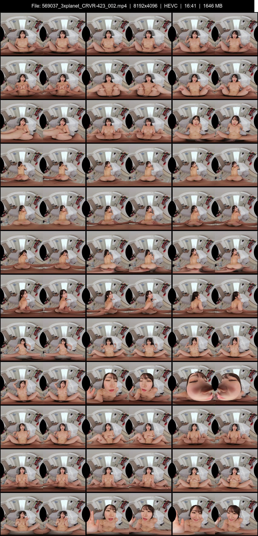 CRVR-423 screens previewer