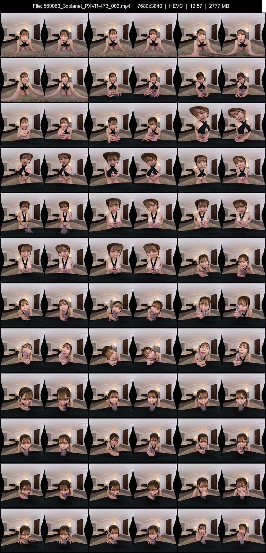 PXVR-473 screens previewer