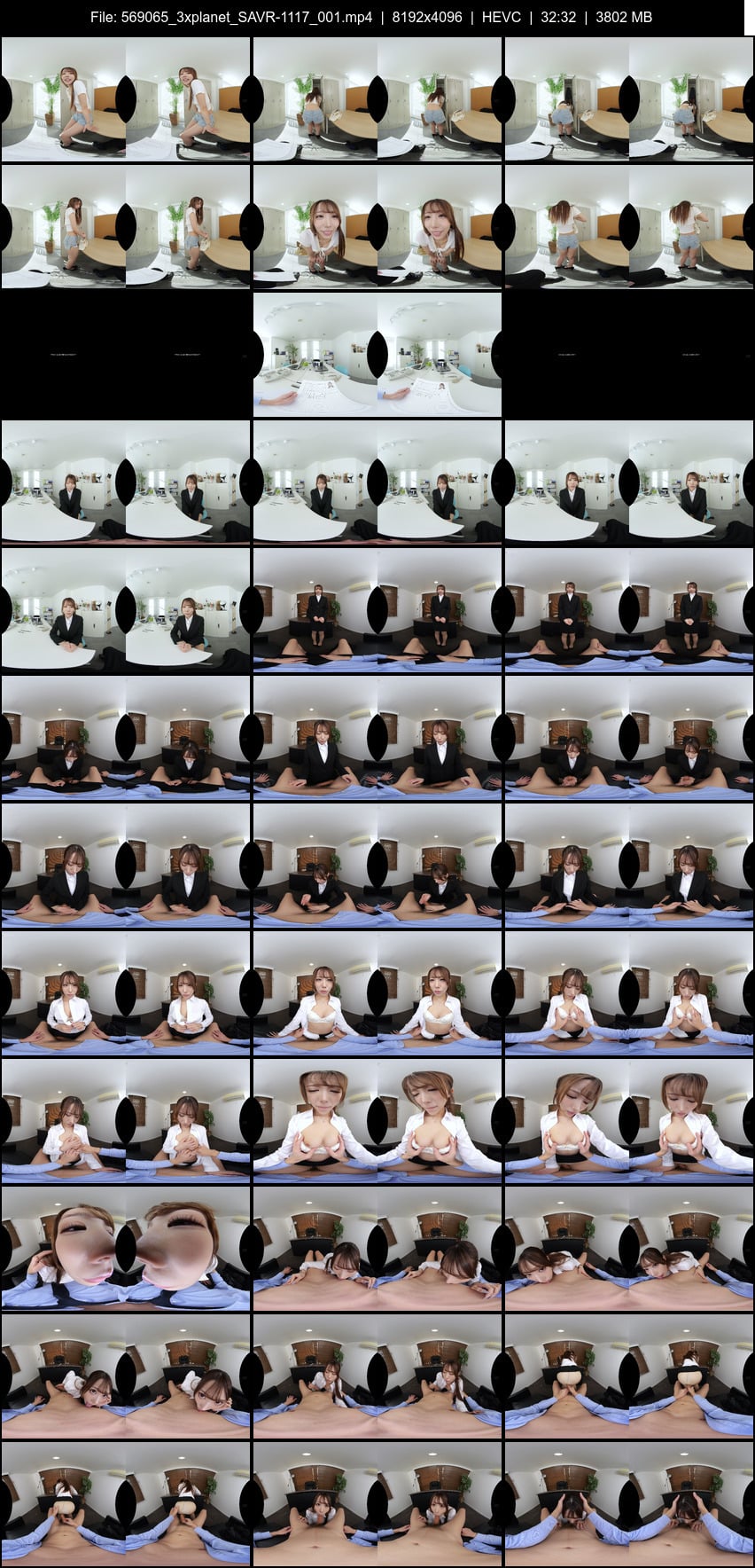 SAVR-1117 screens previewer