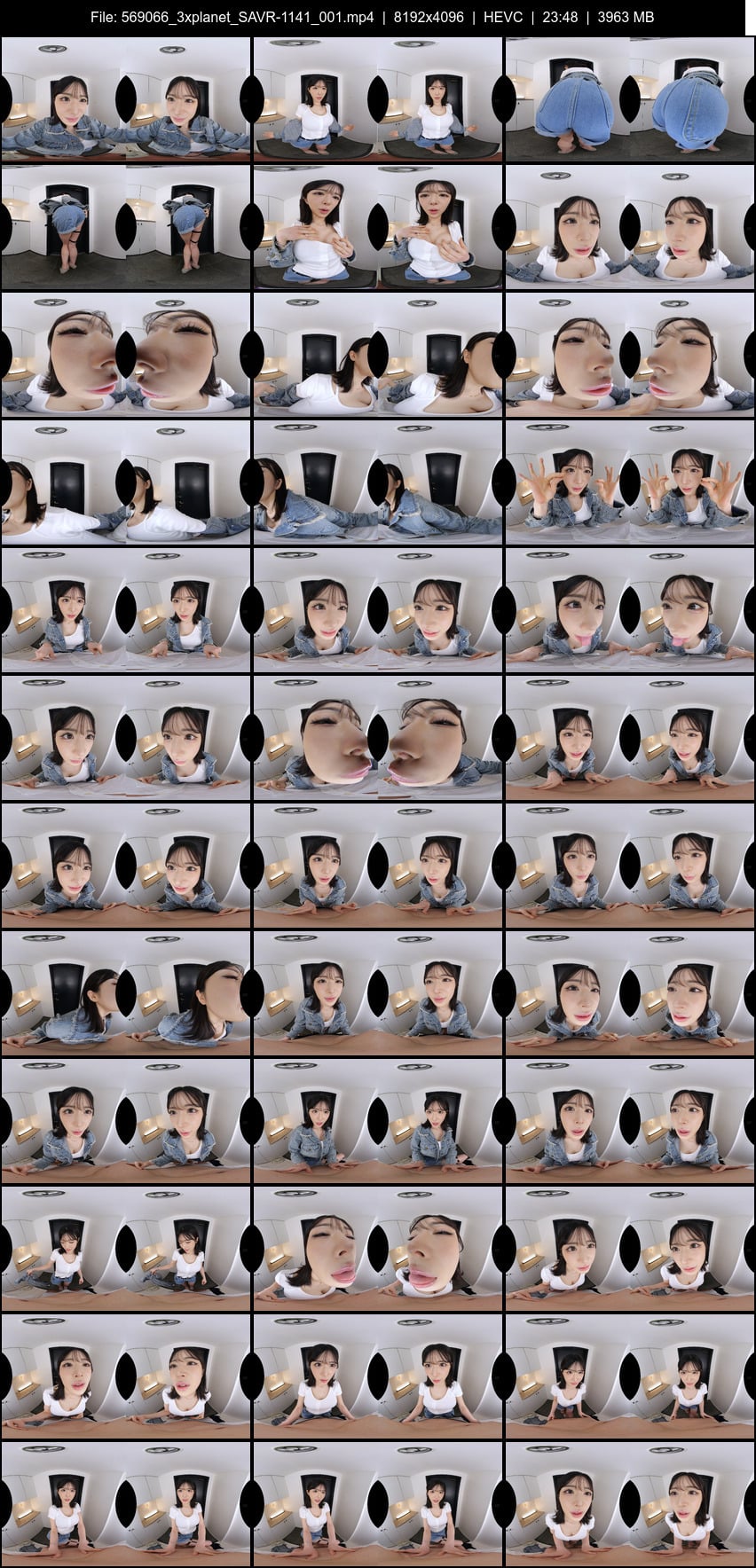 SAVR-1141 screens previewer