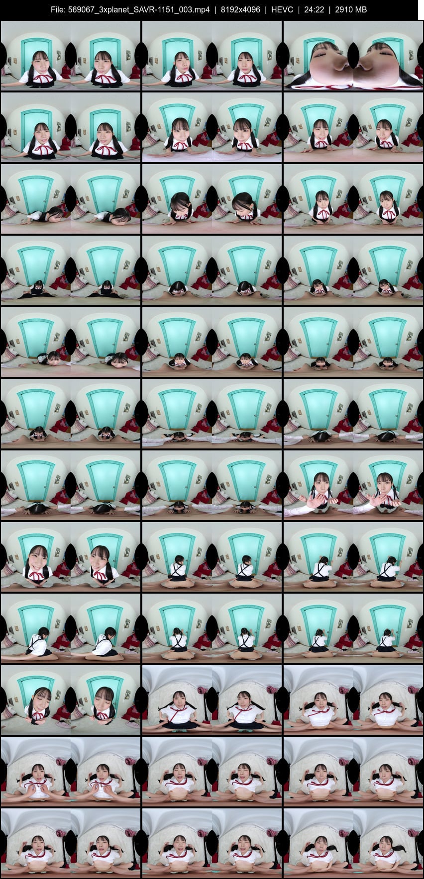 SAVR-1151 screens previewer
