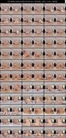 SAVR-1109 弥生みづき