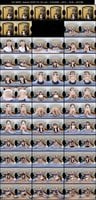 SAVR-1151 amateur
