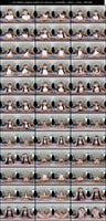 SAVR-1151 amateur