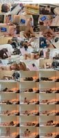 FC2-PPV-4948503 amateur