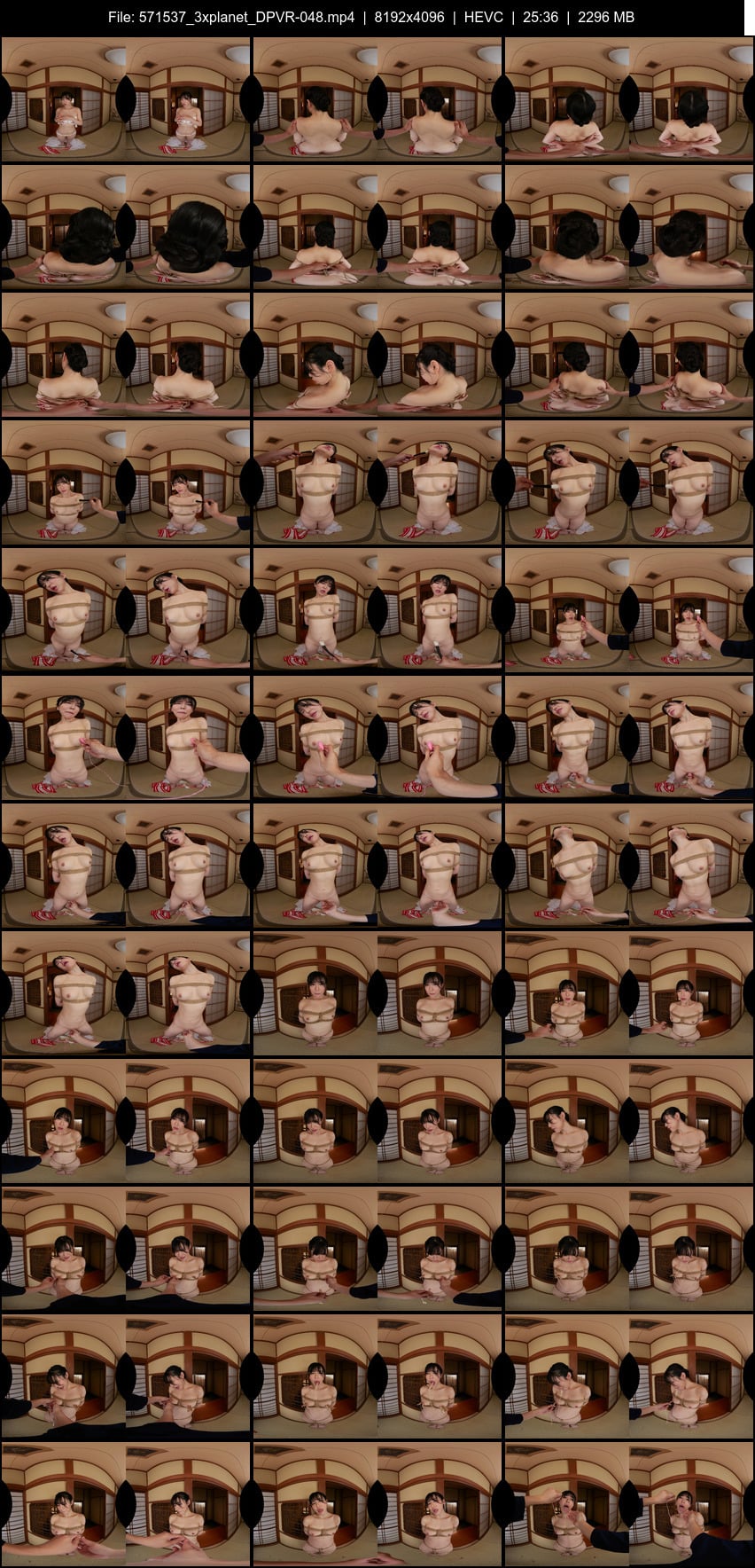 DPVR-048 screens previewer