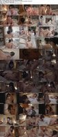 ROYD-159_Uncen-leaked 森日向子