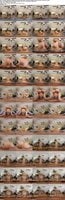 Naughty-Office-Savannah-Bond-Australian-beauty-Savannah-Bond-2026-08-20 Savannah Bond