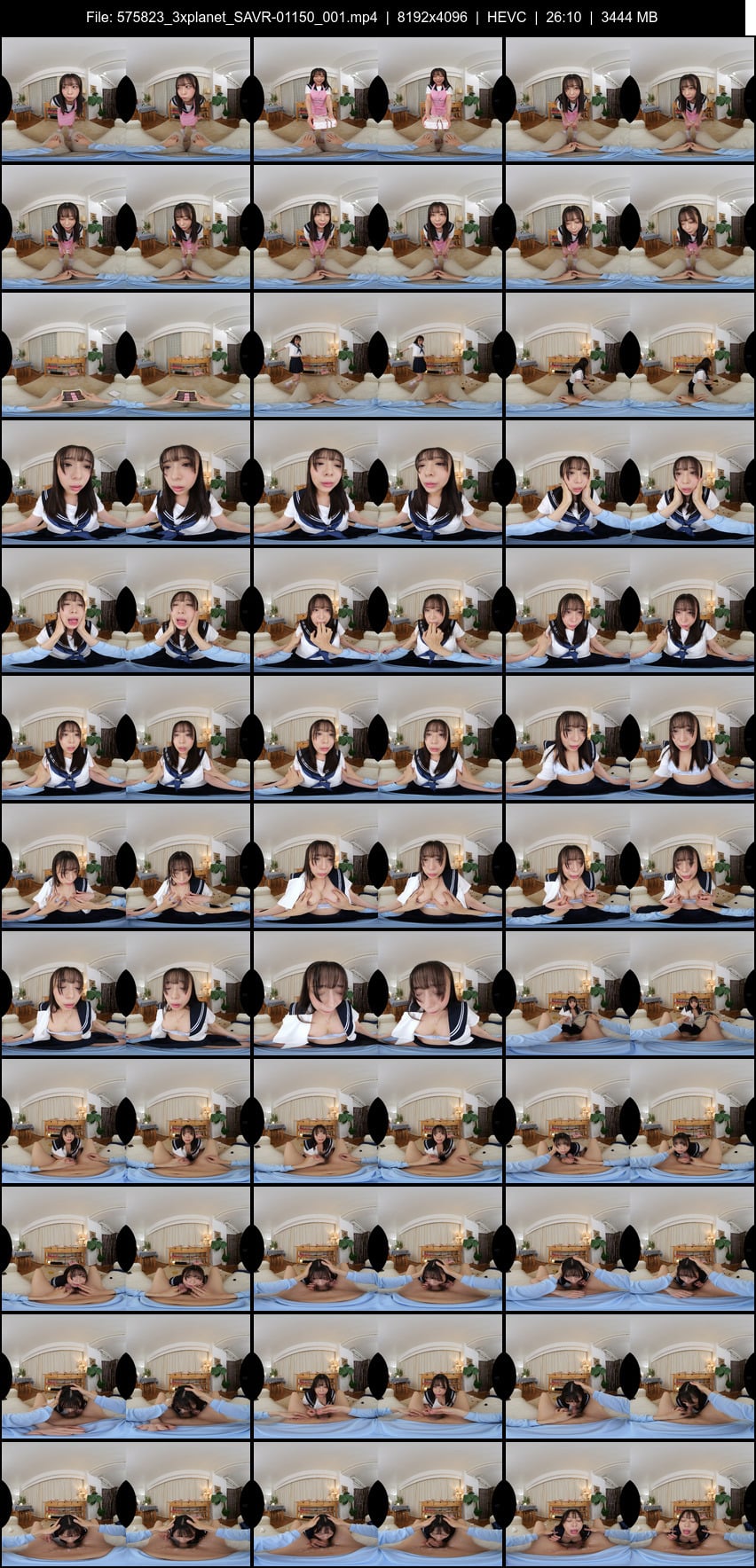 SAVR-01150 screens previewer