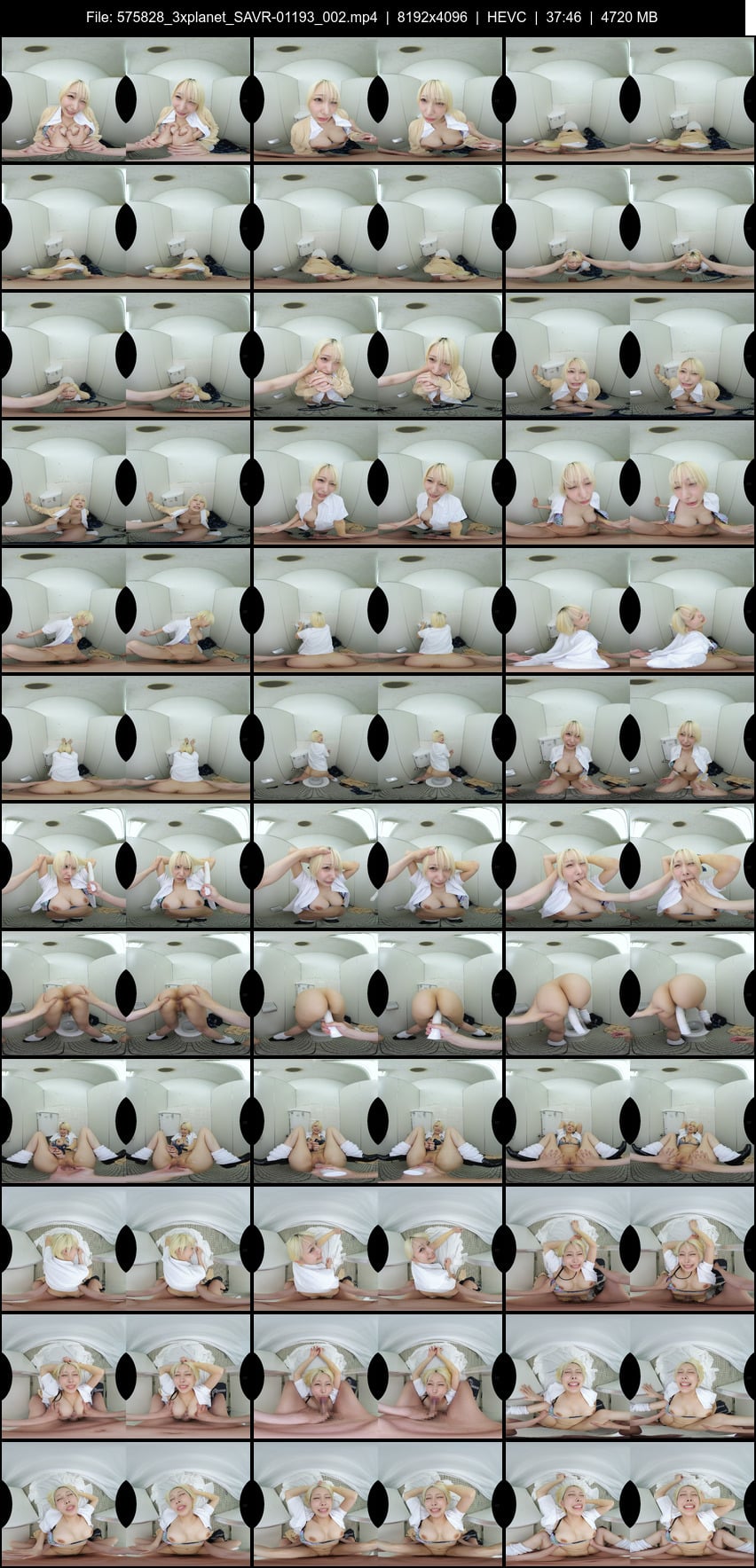 SAVR-01193 screens previewer