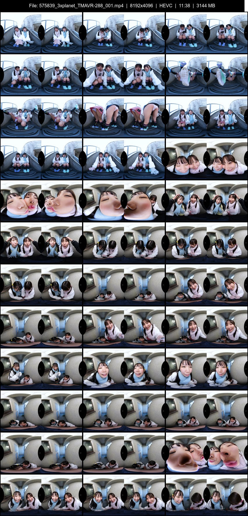 TMAVR-288 screens previewer