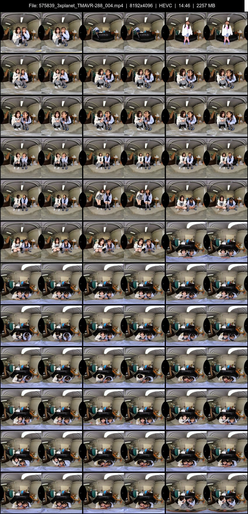 TMAVR-288 screens previewer