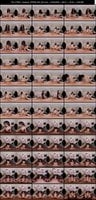 VRPRD-206 Toba Iku