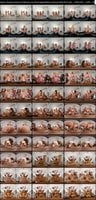 Naughty-America-VR-Brandi-Love-Silvia-Saige-Brittany-Andrews-2026-09-03 Brandi Love, Silvia Saige , Brittany Andrews