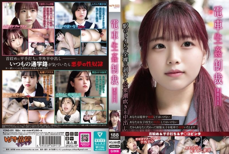YDNS-011 amateur