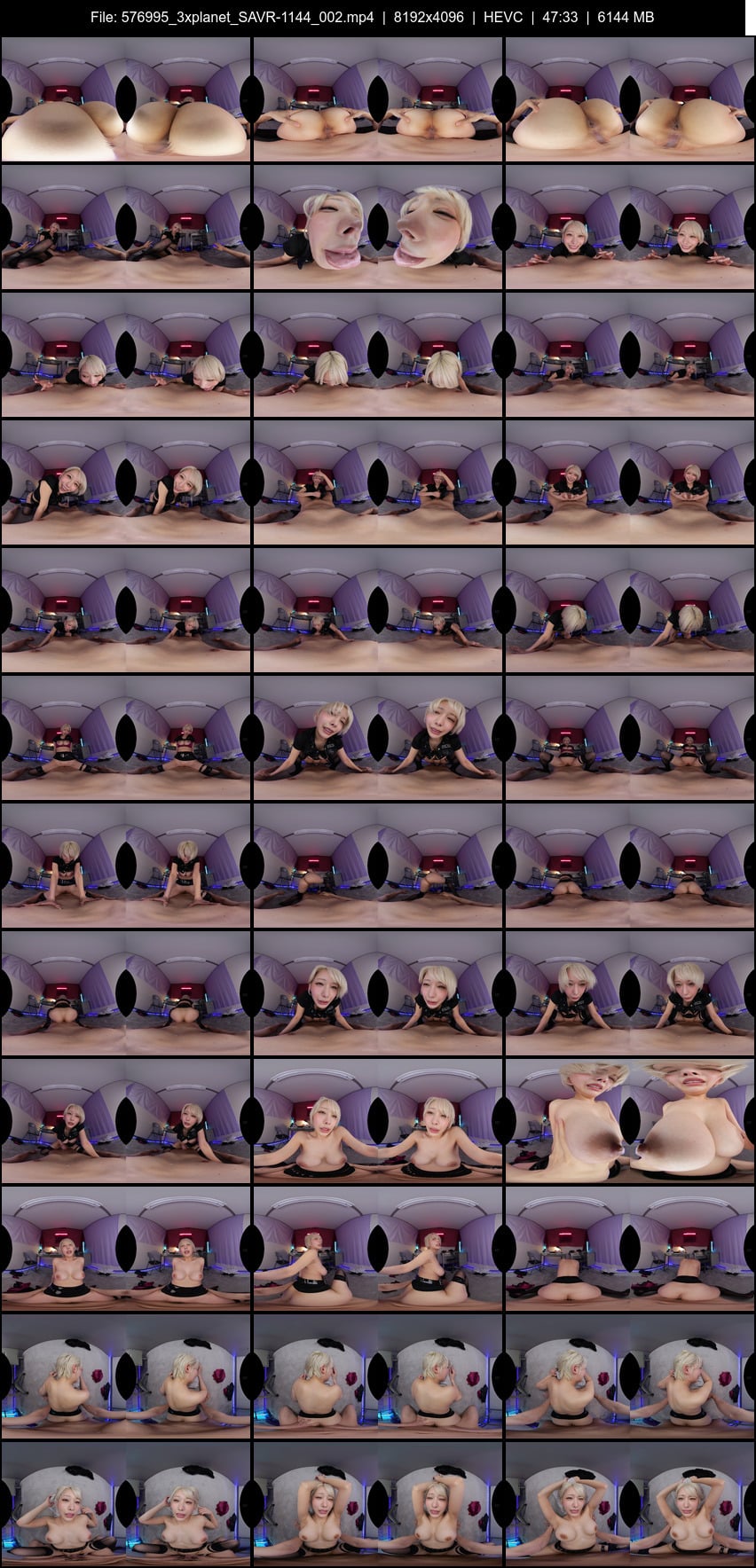 SAVR-1144 screens previewer