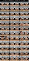 DPVRS-015 大槻ひびき