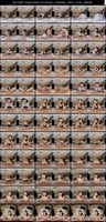 SAVR-1172 amateur