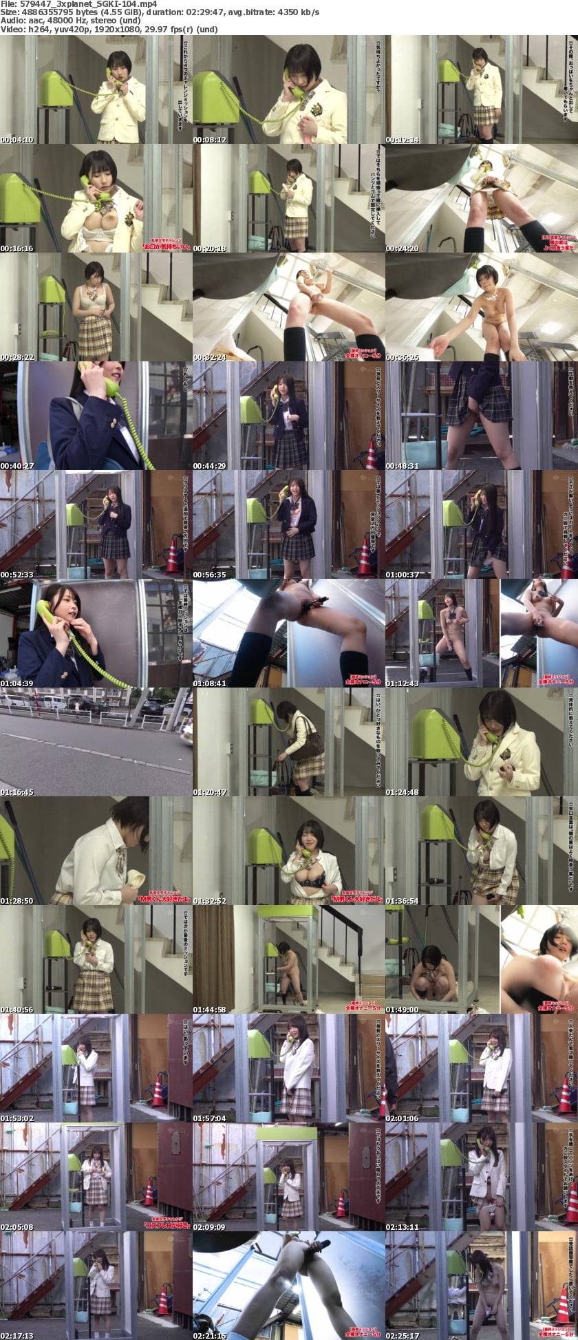 SGKI-104 screens previewer