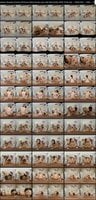 Naughty-America-VR-Anna-Claire-Clouds-Judy-Jolie-Sera-Ryder-2026-10-09 Anna Claire Clouds, Judy Jolie , Sera Ryder