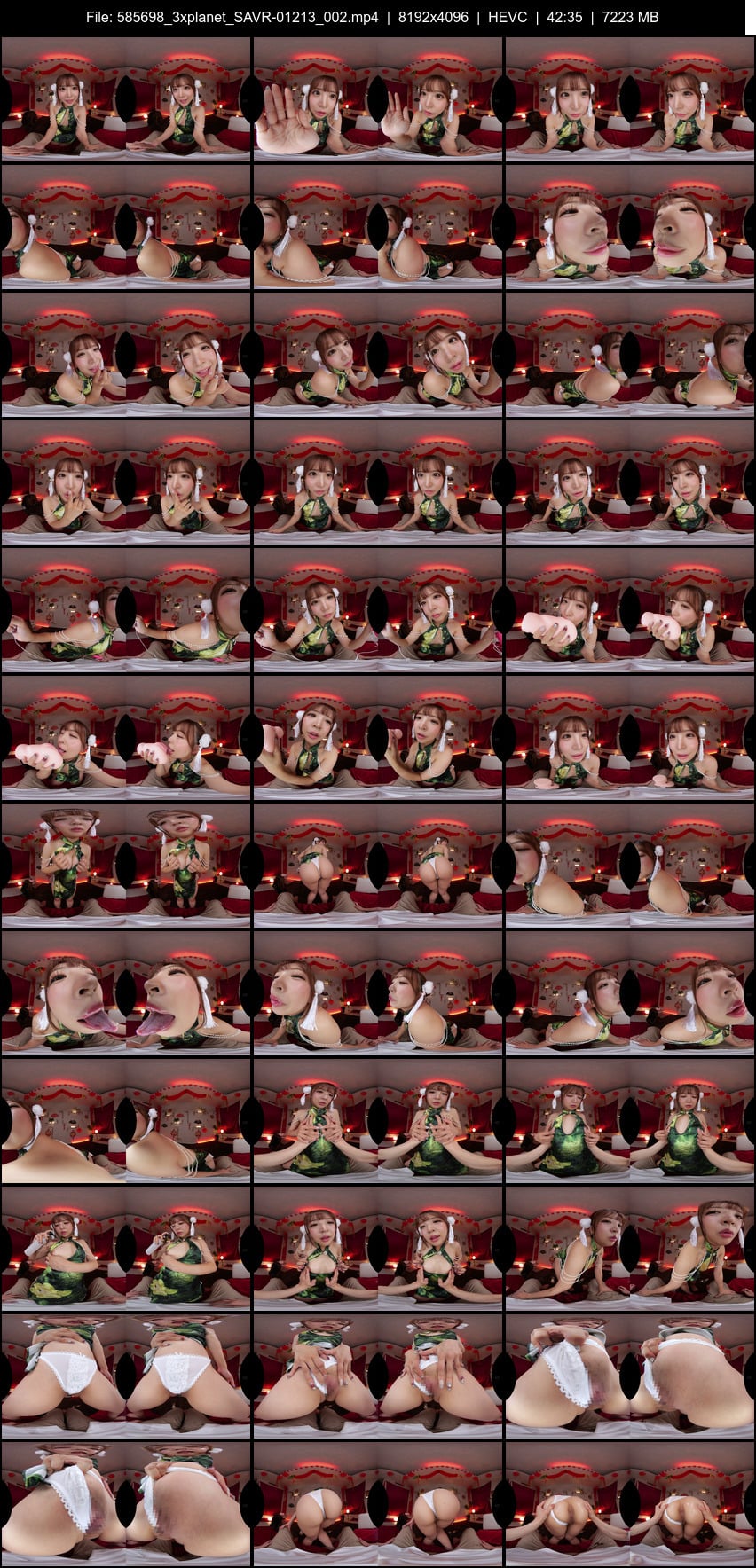 SAVR-01213 screens previewer