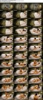 FC2-PPV-5000930 amateur