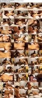FC2-PPV-5001005 amateur